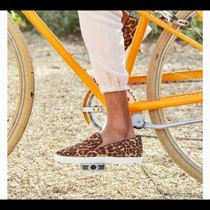 Birdies — The Swift